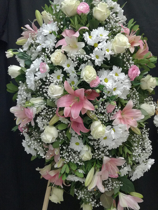 Palma blanca con toques rosas